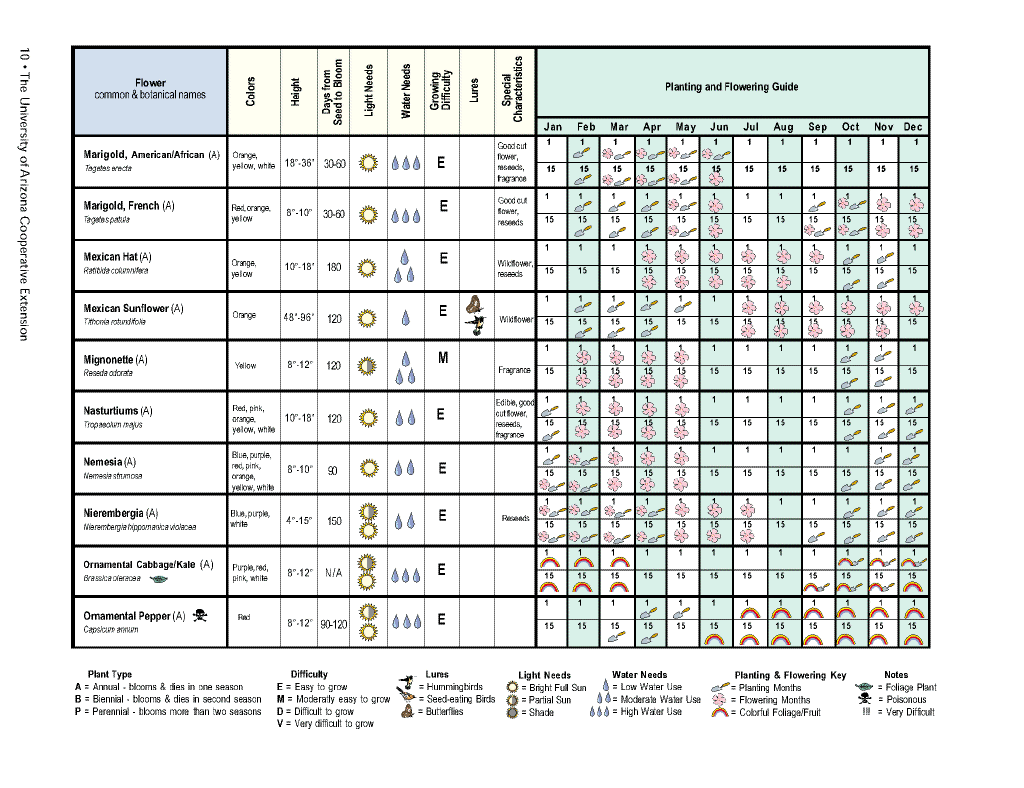 Flower planting calendar10